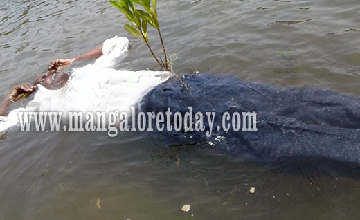  Haveri man survives suicide bid at Tallur;